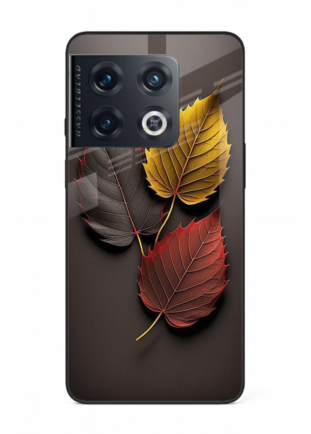 Autumn leaf artwork on OnePlus 10 Pro glass back cover with warm drifting tones.