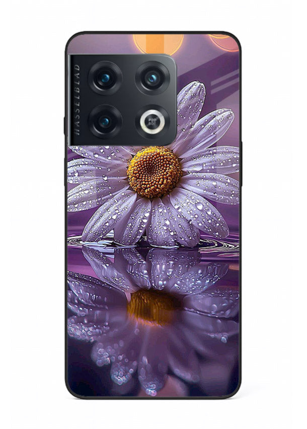 Purple daisy artwork on OnePlus 10 Pro glass back cover with soft dewy tones.