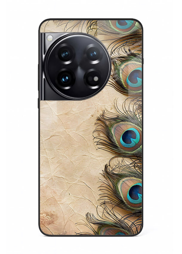 Peacock feather texture colorful pattern OnePlus 12 glass artistic royal case