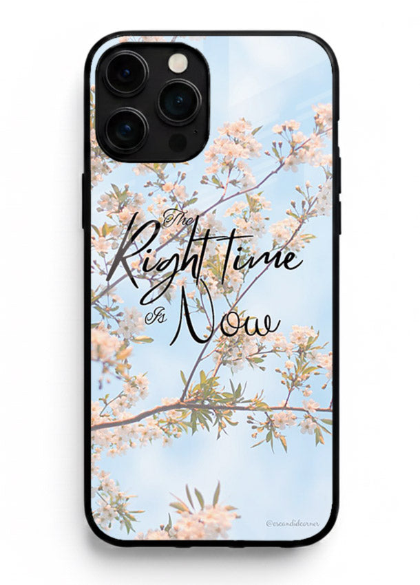 Botanical branch artwork printed on iphone 16 pro max glass back cover with calm tones.