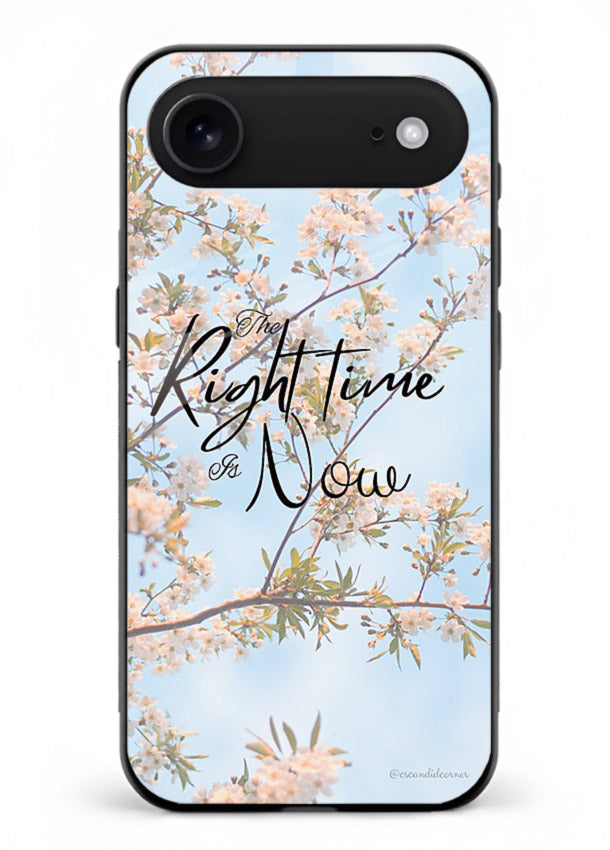 Botanical branch artwork printed on iphone 17 air glass back cover with calm tones.