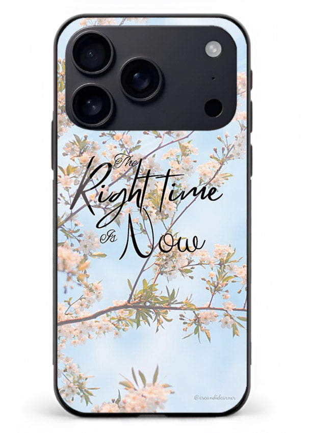 Botanical branch artwork printed on iphone 18 pro max glass back cover with calm tones.