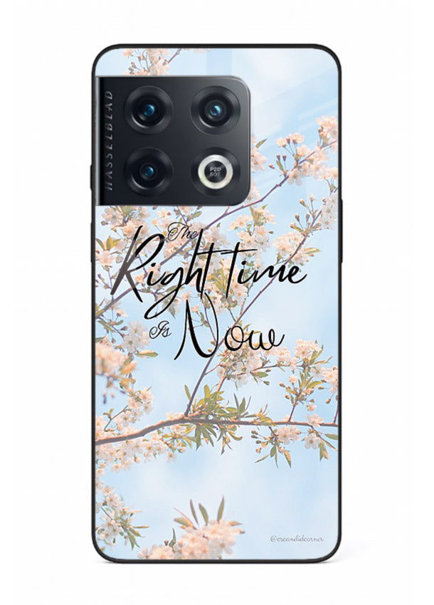 Botanical branch artwork printed on OnePlus 10 Pro glass back cover with calm tones.