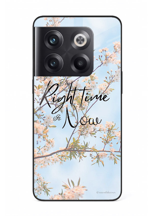 Botanical branch artwork printed on OnePlus 10T glass back cover with calm tones.