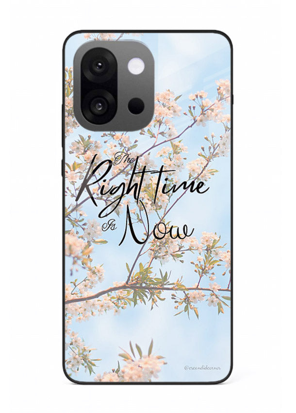 Botanical branch artwork printed on OnePlus 13s glass back cover with calm tones.