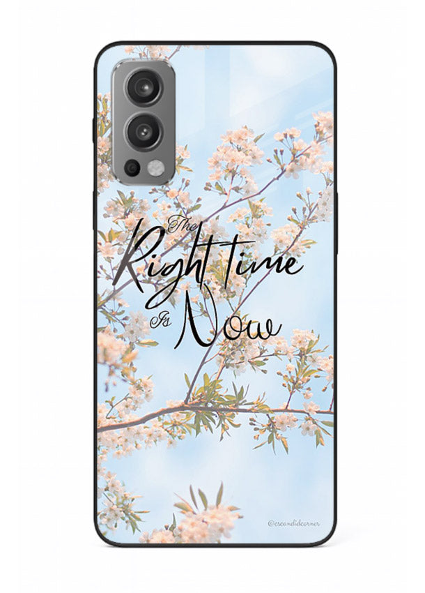 Botanical branch artwork printed on OnePlus Nord 2 glass back cover with calm tones.