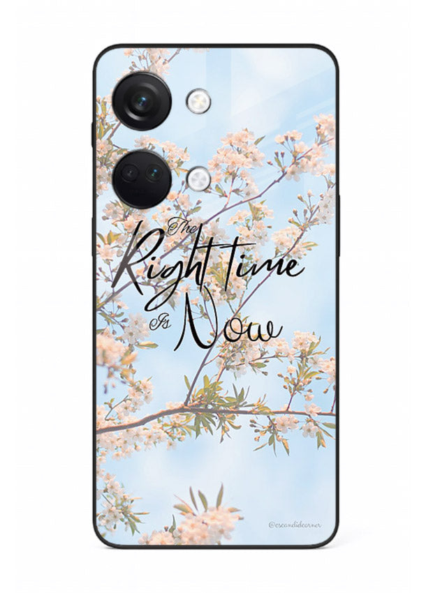 Botanical branch artwork printed on OnePlus Nord 3 glass back cover with calm tones.