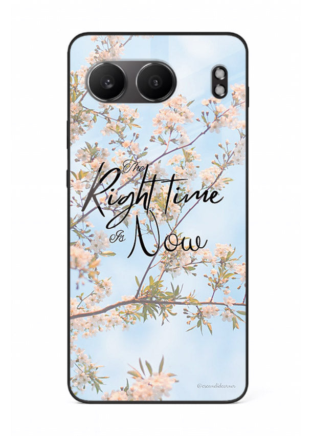 Botanical branch artwork printed on OnePlus Nord 4 glass back cover with calm tones.