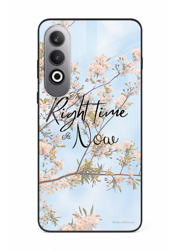 Botanical branch artwork printed on OnePlus Nord CE4 glass back cover with calm tones.