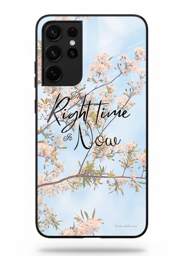 Botanical branch artwork printed on Samsung S21 Ultra glass back cover with calm tones.