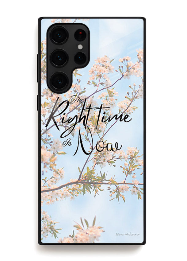 Botanical branch artwork printed on Samsung S25 Ultra glass back cover with calm tones.