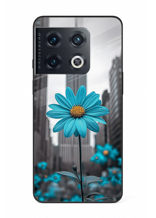 Blue daisy artwork on OnePlus 10 Pro glass back cover with bold modern floral styling.