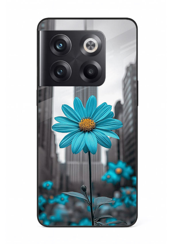 Blue daisy artwork on OnePlus 10T glass back cover with bold modern floral styling.