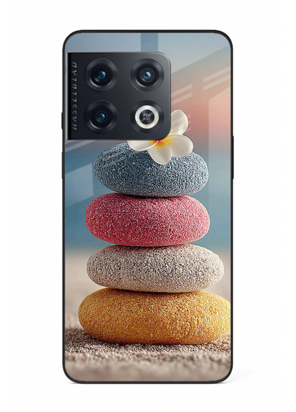 Zen stone botanical artwork on OnePlus 10 Pro glass back cover with calming minimal tones.